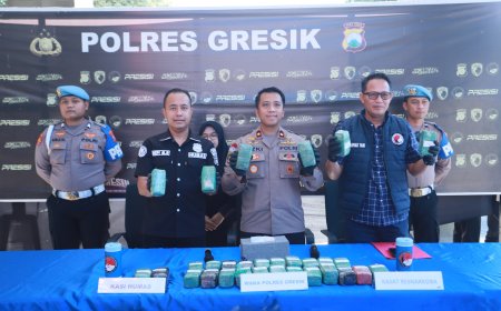 Polres Gresik  Sita 10,8 Kg Ganja di Gudang Ekspedisi